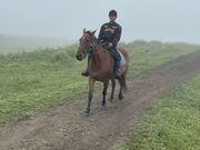 PON̖kmV[TChCnNu̓eʐ^1