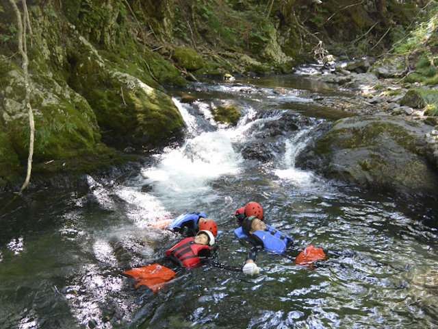 �Ƒ��ŋ��͂��Ăł��܂����I_��������