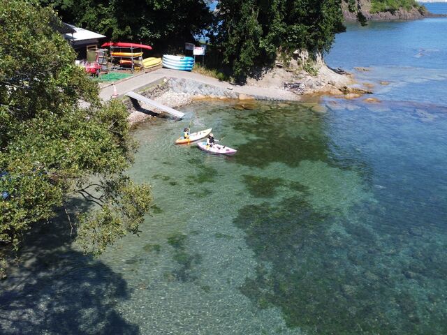 �K�C�h���񂪃h���[���ŎB���Ă���܂����B_�����݃p�h�������L�[