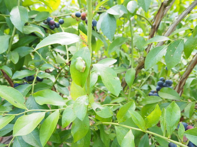 �J�G������_�O�g�R�@�`�c�_�Y