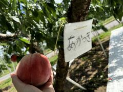 ̂܂邦όʎւ̓eʐ^1