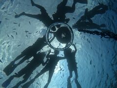 ς񂳂̔C_Co[Yւ̓eʐ^2