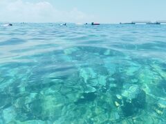 ς񂳂̔C_Co[Yւ̓eʐ^3