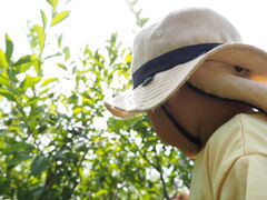 bebe̒OgR@`c_Yւ̓eʐ^1