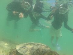 ߂˂nico {Óւ̓eʐ^1