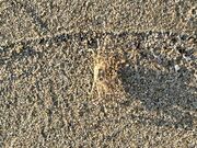 ܁[񂳂̔gÊC̓eʐ^2