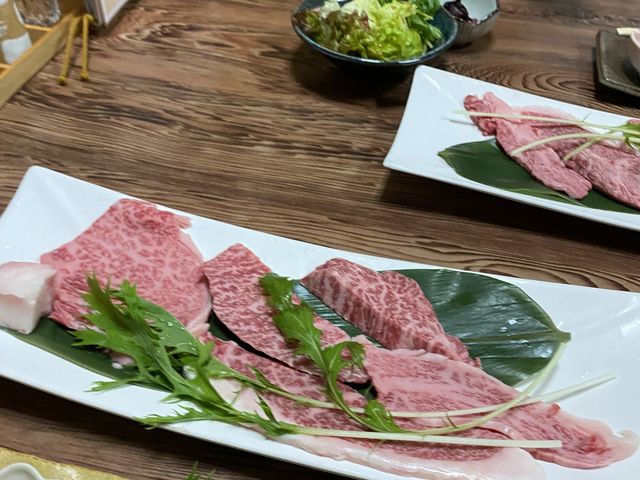 �ō��ɊÂ��Ĕ��������������I_��D���� �������ƂԂ�