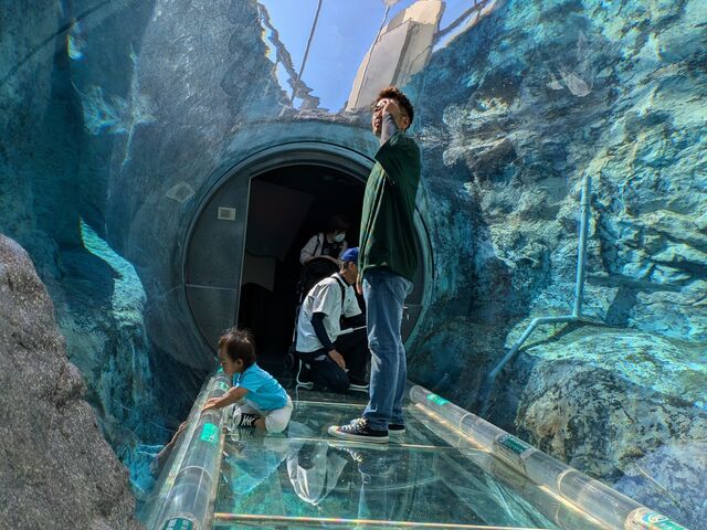 �y���M�����[��_���R������