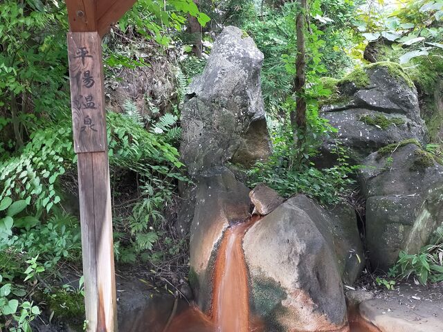 ���������̑���_��������