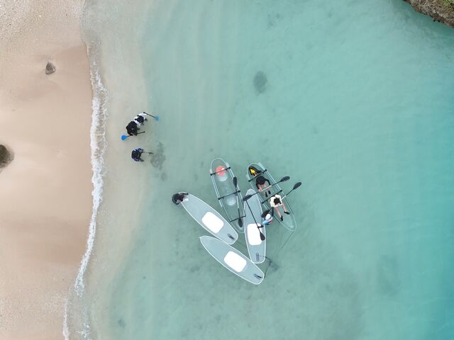 �r���A�x�e������₽�����������������܂����B
���l�ł��Y��ȊL��J�j�A�傫�ȃ��h�J���ɂ���܂���_���݂����