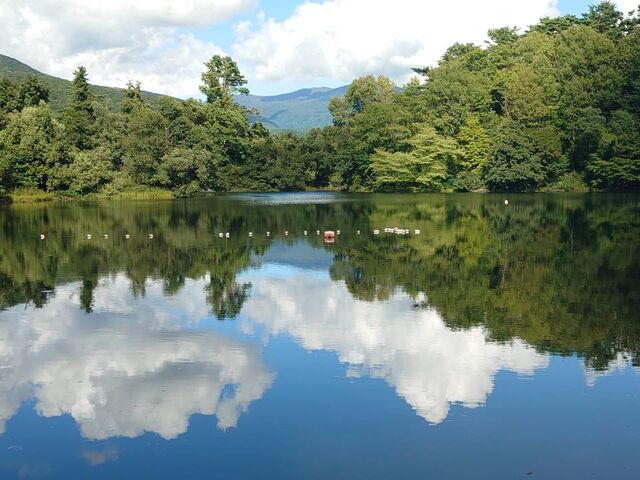 �Ζʂ����̂悤�ł�_���������å���֒�J�k�[&�X�m�[�V���[�̌� �i�`�������r�Y �A�N�e�B�r�e�B�X�e�[�V����