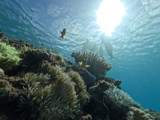 ����Ȏʐ^�B���Ă��炦�܂��I�ō��ł��I�I_�}�����V���b�v����