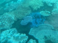 Ȃ肿񂳂̃}όJւ̓eʐ^1