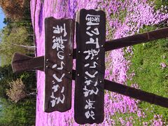 ���f�B�b�N����̎ł�����������ւ̓��e�ʐ^1