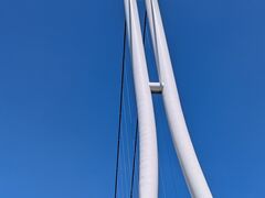 ۂĂƂ̎OXJCEH[Nւ̓eʐ^1