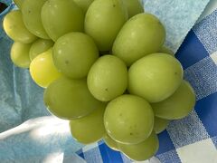 hana����̎R�����ւ̓��e�ʐ^1