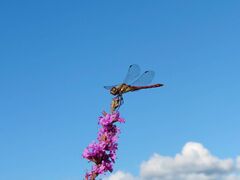 å֒Jk[&Xm[V[̌ i`rY ANeBreBXe[V̎ʐ^3