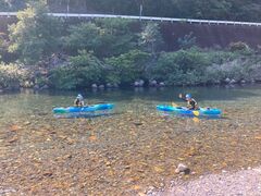 kxxKAC@ÍAhx`[yւ̓eʐ^1