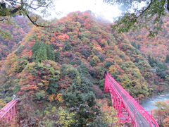 �L������̍������J�S���ւ̓��e�ʐ^1