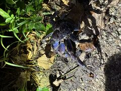 ofB[̂ЂI[VYւ̓eʐ^1