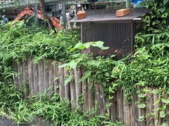 䂫ẴZgWEWCfBONuւ̓eʐ^2