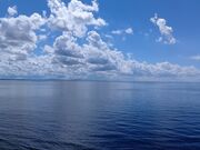 �g�������JFA���t�B�[���h ��������@���y�̗��̓��e�ʐ^1