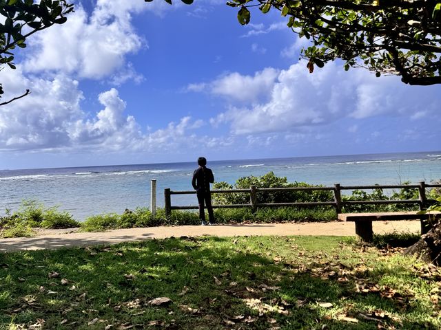 �C���L���C�ł����B_��g�ݐؐ�墊C�̗V�я��@�Ȃ��䂭���