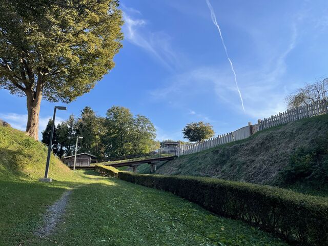 �E�肪�{�ہB�R���N���[�g���̋����c�O�B_�����