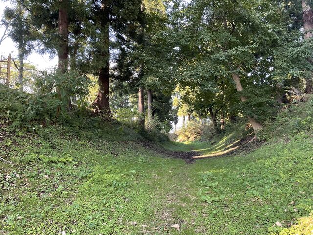 �x��_�����