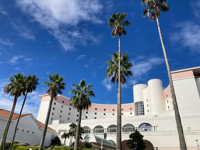 ANAzfCEC ][g{_`m`zfCEC ][g{