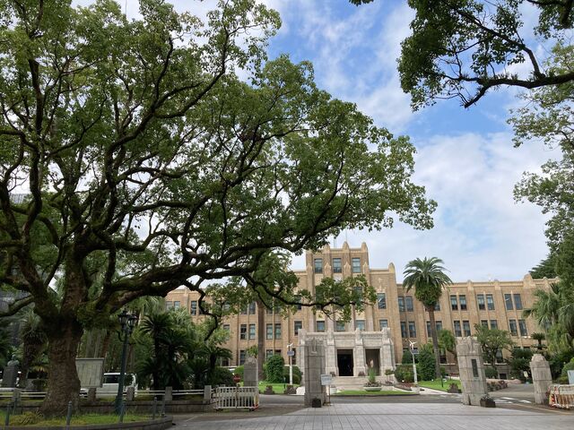 �{�茧��_�{�茧��