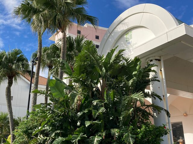 ANAzfCEC ][g{_`m`zfCEC ][g{