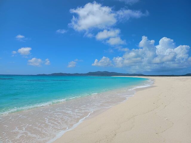 ͂Ă̕l_LЁ@vēGXR[gcA[Y