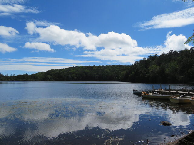 �L������̔���̒r�̓��e�ʐ^3