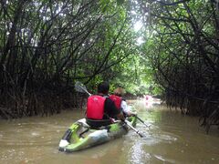 ςς邳̃GRcA[vJvJւ̓eʐ^1