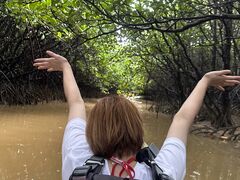 ςς邳̃GRcA[vJvJւ̓eʐ^2