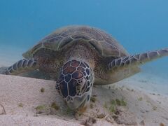 񂿂񂳂nico {Óւ̓eʐ^1