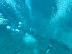 䂩񂳂SHISHIΊ_ւ̓eʐ^1