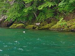 ̃Oh@RIB Tripւ̓eʐ^1