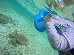 `FROCEAN LIFEւ̓eʐ^1