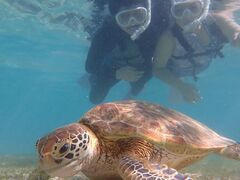 䂫nico {Óւ̓eʐ^1