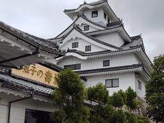 �V����������̂��َq�̚��ւ̓��e�ʐ^1