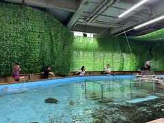 䂤񂳂̉lނxւ̓eʐ^1