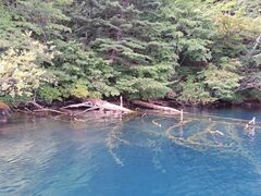 o^[Ă̐AEghAZ^[(X)ւ̓eʐ^1