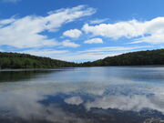 �L������̔���̒r�̓��e�ʐ^1