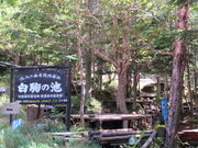 �L������̔���̒r�̓��e�ʐ^2