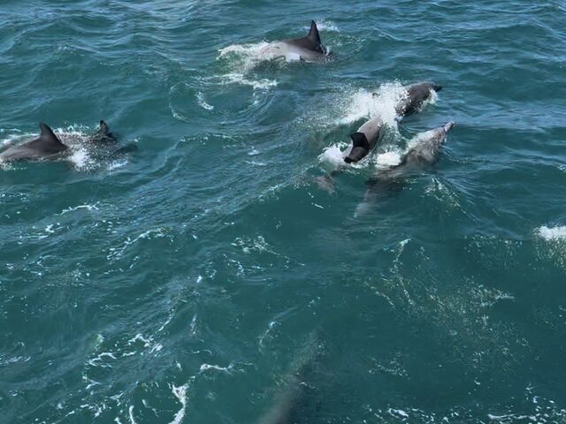 ܂ł蕷߂_CJEHb`Ot\Z^[