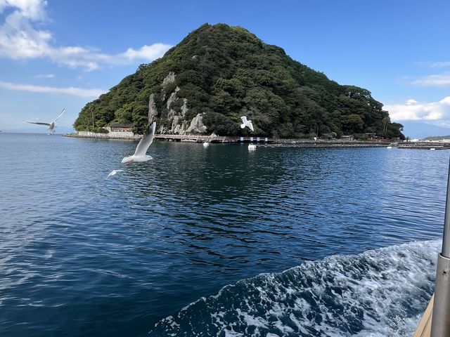 ���킵��_�O�Î��V�V���D