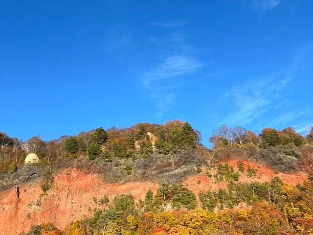 �R���Y��_����A�E�g�h�A�Z���^�[(�X)