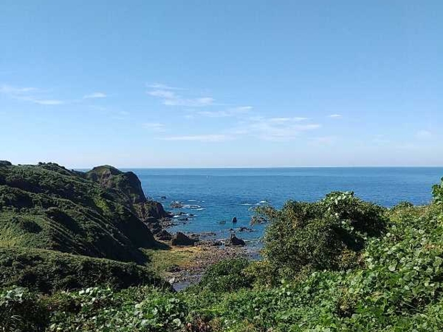 sokudumo̔cW]̓eʐ^1